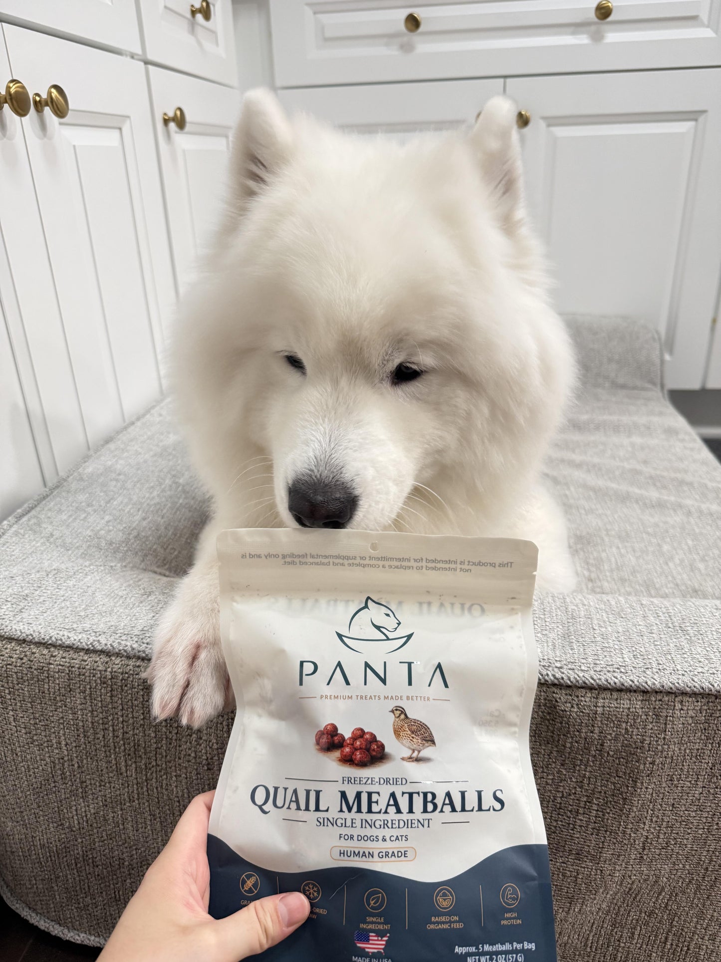 Panta Freeze-Dried Quail Meatballs -wholesale