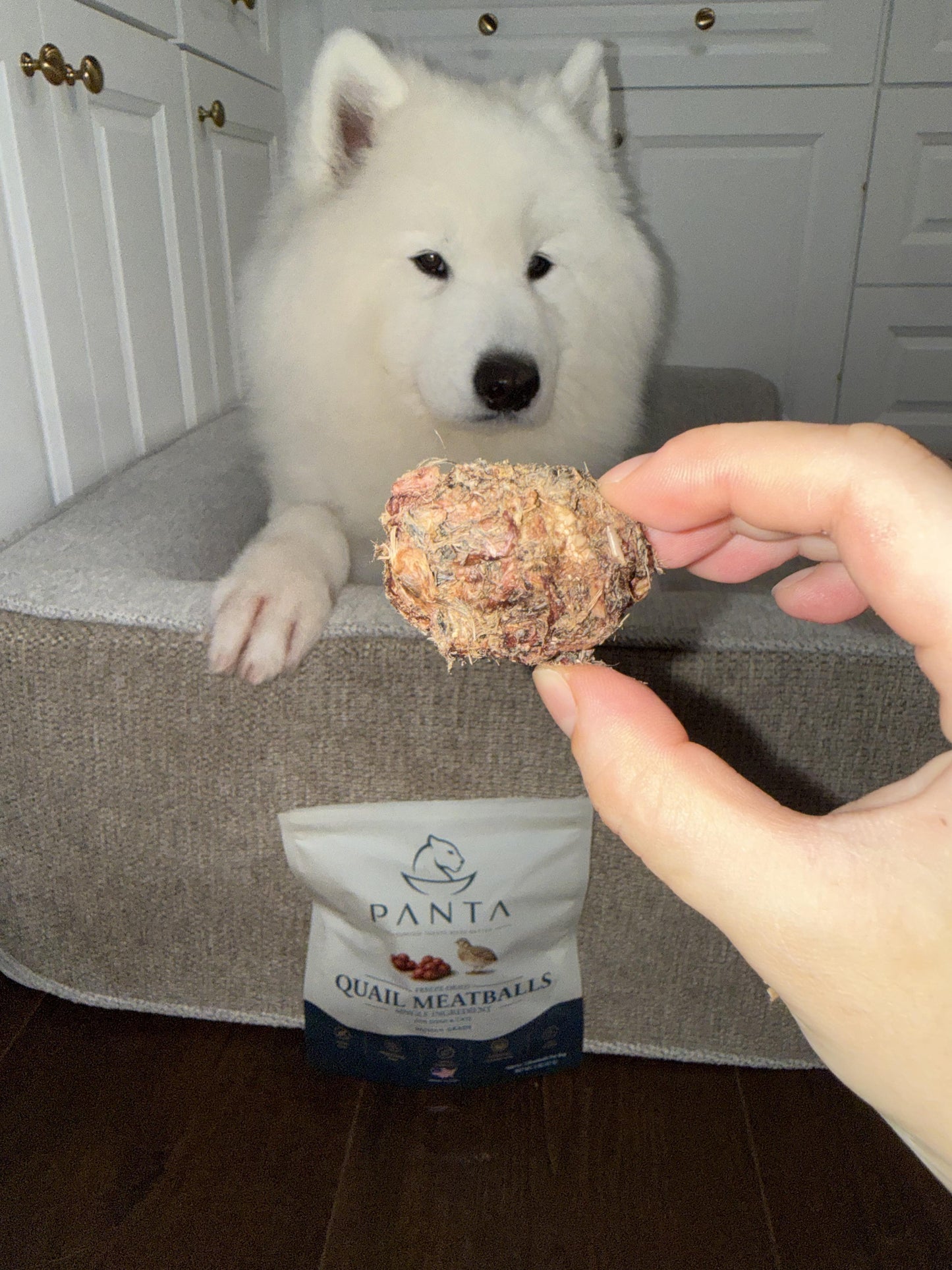 Panta Freeze-Dried Quail Meatballs -wholesale