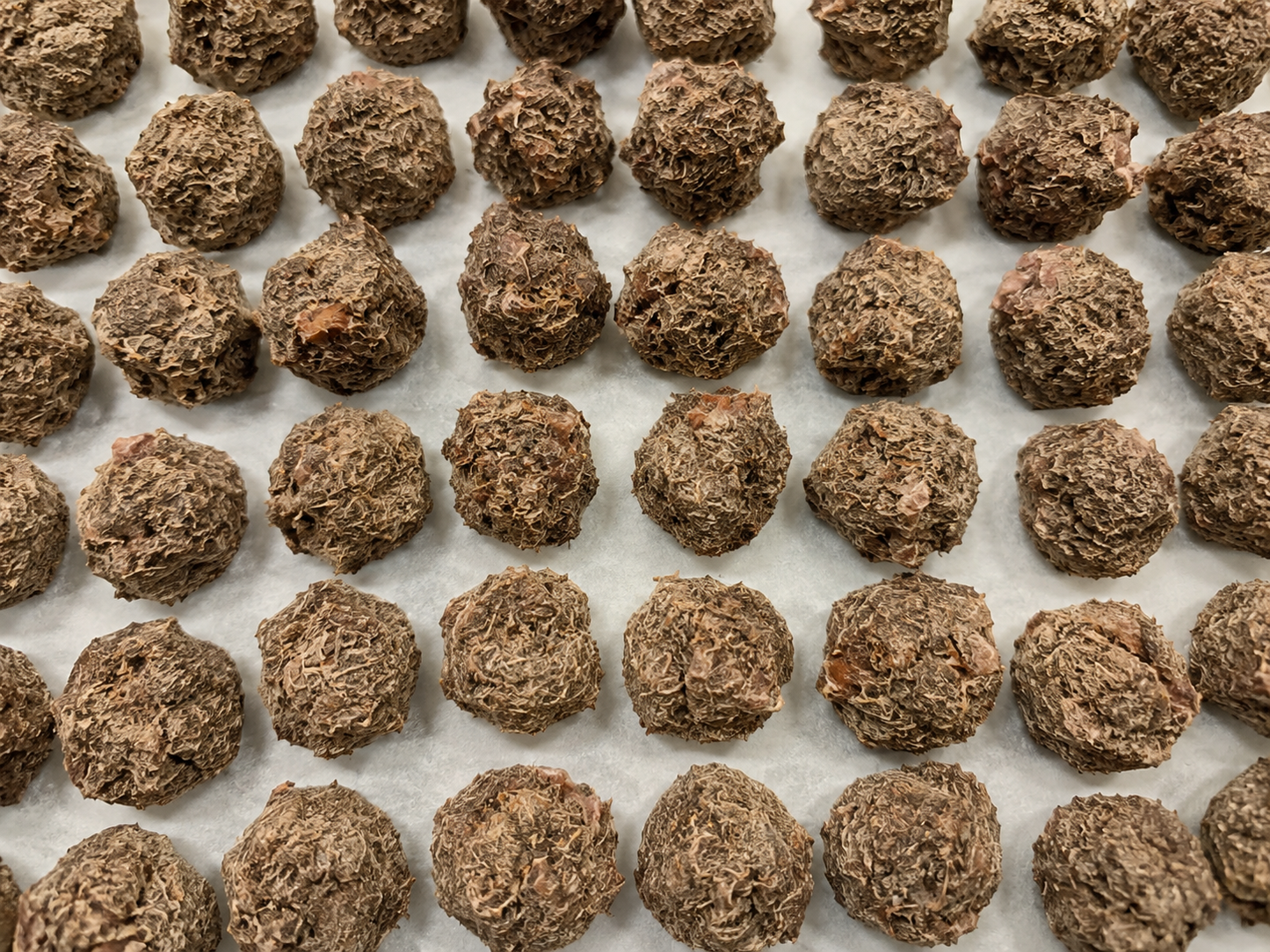 Freeze-Dried Quail Meatballs Lb approx 66 meatballs each meat ball weight 7gr
